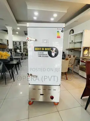 Gas Rice steamer