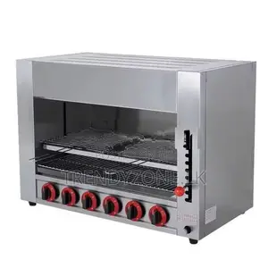 Industrial Gas Salamander 06 Burner