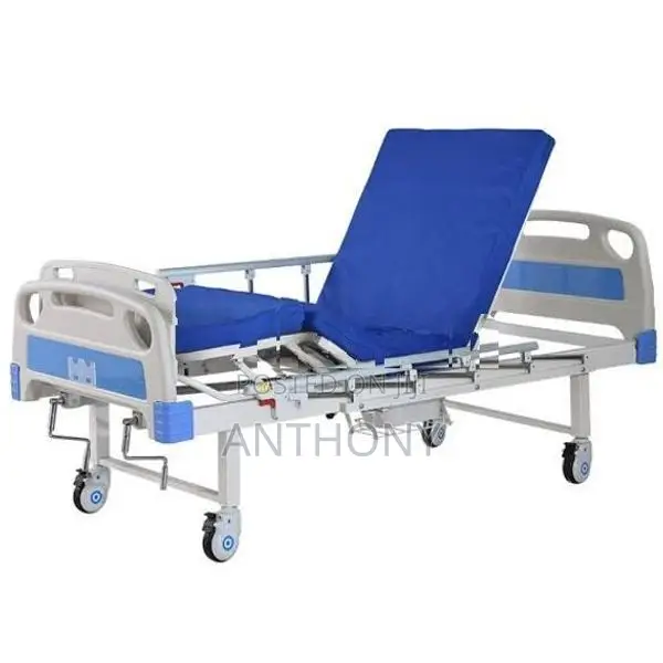 Two Function Manual Bed