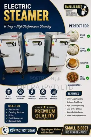 Electric Rice Steamer ✨