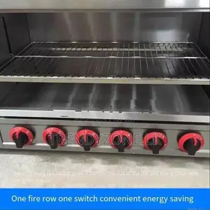 Industrial Gas Salamander 06 Burner
