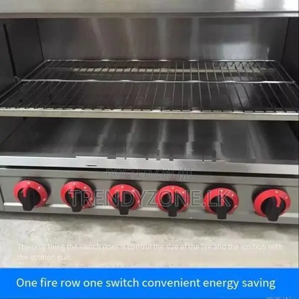 Industrial Gas Salamander 06 Burner