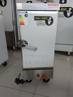Electric Rice Steamer ✨