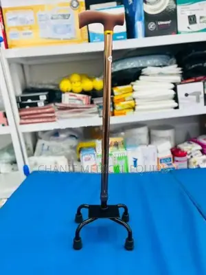 Quad Cane (Brown/Silver)
