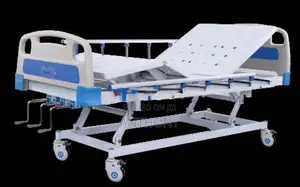 Emss 3 Function Bed -Manual