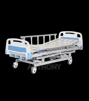 Manual Bed- 3 Function