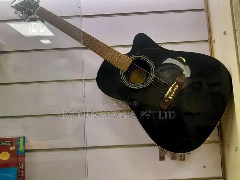 Suzuki Box Guitar