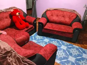 Sopa with furnitures