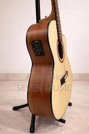 Tayste Guitar