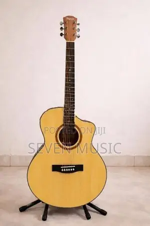 Tayste Guitar