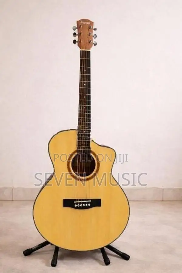 Tayste Guitar