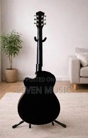 Tayste Guitar