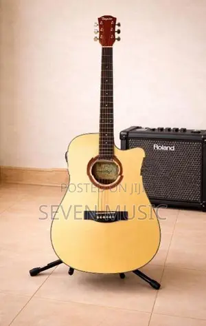 Tayste Guitar