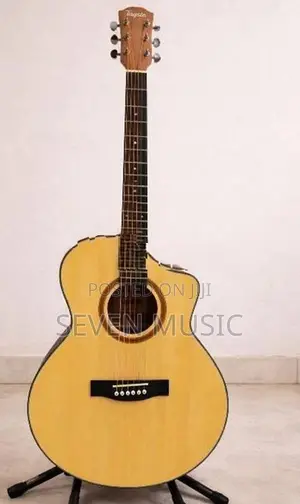 Tayste Guitar