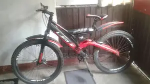 Mountain bicycle
