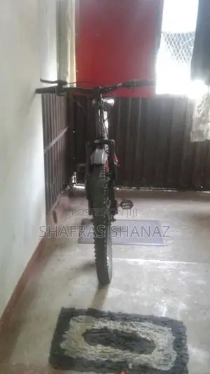 Mountain bicycle