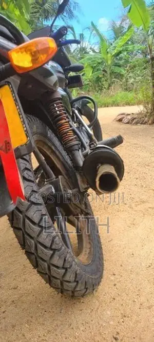 Bajaj Platina 125 2010