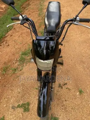 Singer Safari 4s 2020