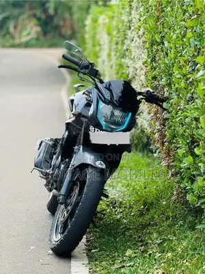 Yamaha FZs V