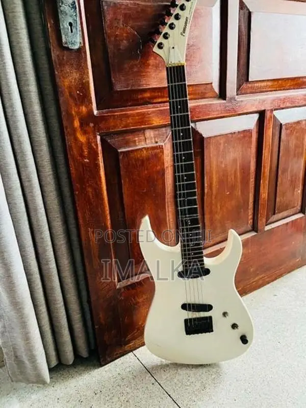 Fernandes Limited Edition Guitar