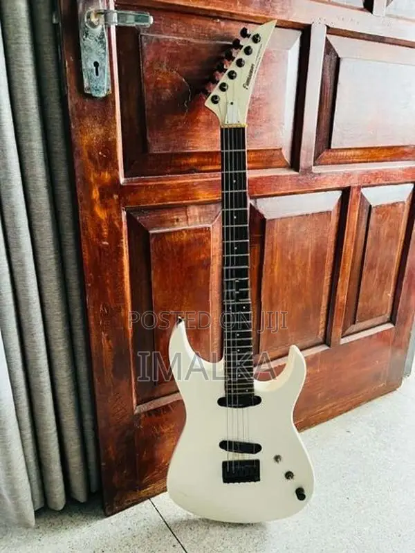 Fernandes Limited Edition Guitar