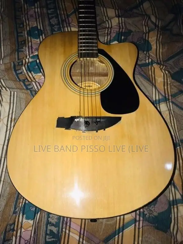 yamaha fs100c