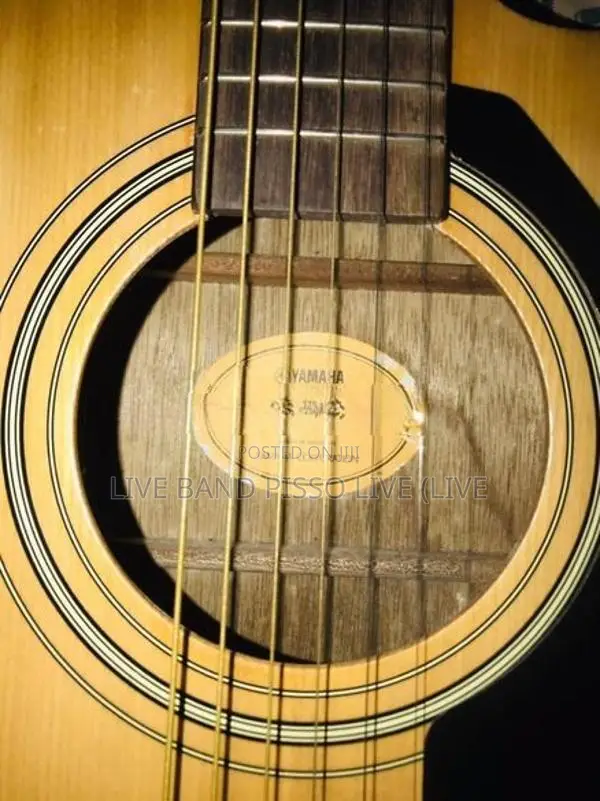 yamaha fs100c