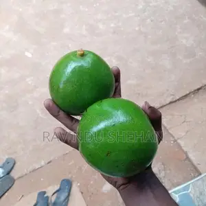 lඅලි පේර
