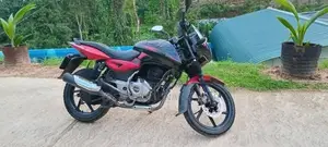 Bajaj Pulsar 150 2015