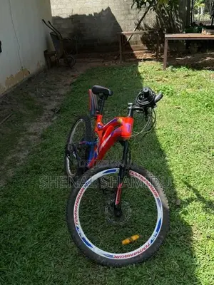 Tomahawk Bicycle