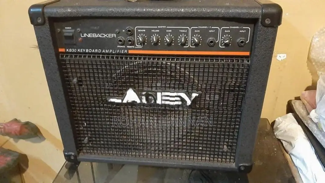 Laney Back Amp