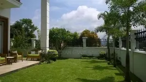 Landscaping Grass