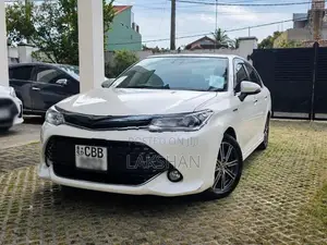 Toyota Axio WXB 2017
