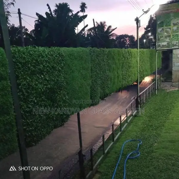Landscaping Grass