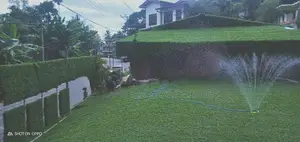 Landscaping Grass