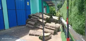 Landscaping Grass