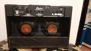 Line 6 Flextone 100 Back Amp with Effecter