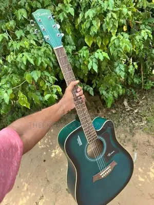 Ibanez Guitar