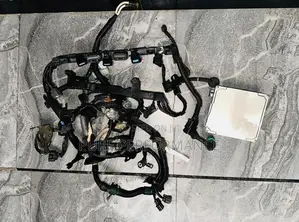 Honda Civic EG8 Vtec Engine Harness