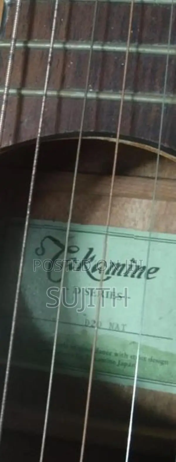 takamine d series japan