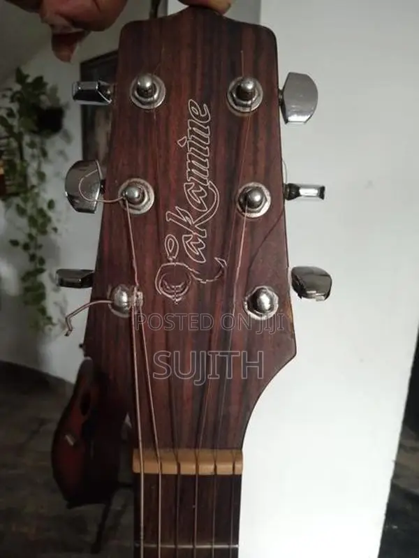 takamine d series japan