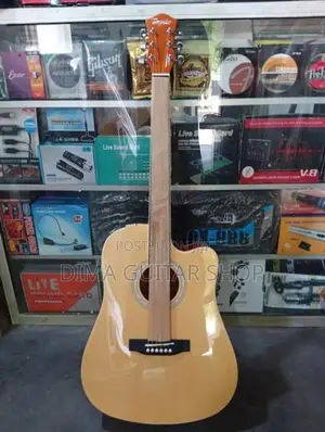Acoustic Guitars