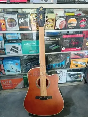 Acoustic Guitars