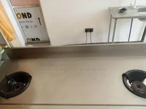 stainless steel gas cooker