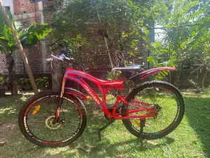 Mountain Bicycle
