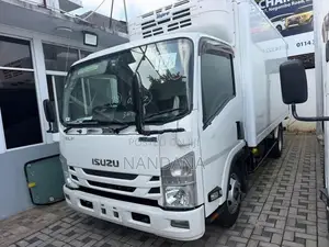 Isuzu Elf Freezer 14.5 2019