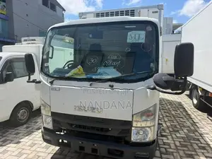 Isuzu Elf FREEZER 10.5 2017