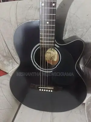 Semi Acoustic Guitar