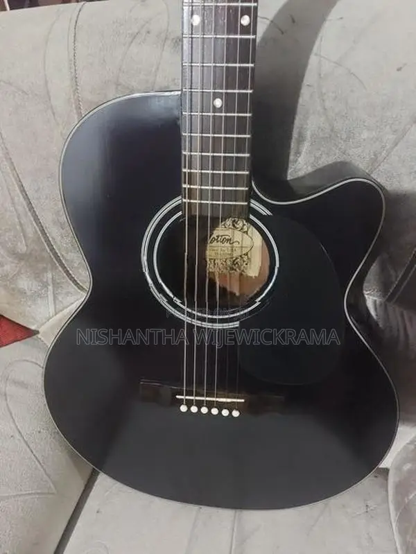 Semi Acoustic Guitar