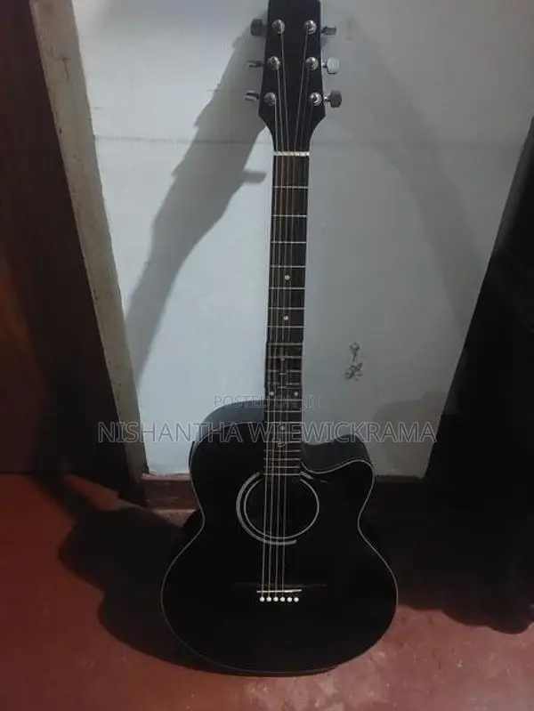 Semi Acoustic Guitar